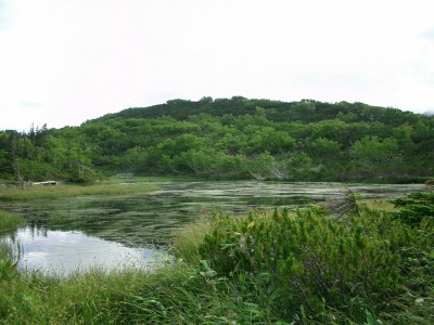 羅臼湖・三の沼 096 (640x480)