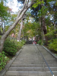 多武峰 001・談山神社 (480x640)