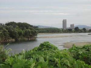 淀川河川敷 053 (640x480)