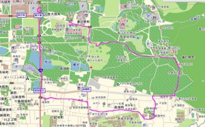 奈良-route (640x396)