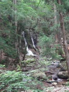 三室山 126・三室の滝 (480x640)