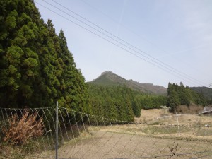 三郎ヶ岳 089 (640x480)