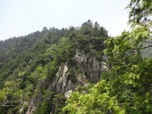 仙ヶ岳 024・岩峰からこれから登る岩峰 (640x480)