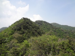 仙ヶ岳 041・840pと920pと東峰 (640x480)