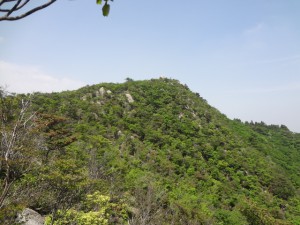 仙ヶ岳 105 (640x480)