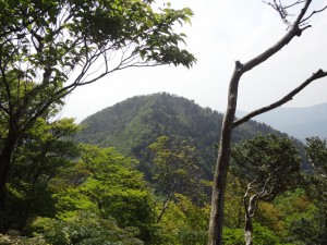 仙ヶ岳 126・東峰から西峰 (640x480)