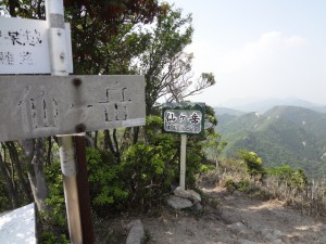 仙ヶ岳 132・仙ヶ岳 西峰 (640x480)