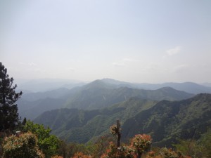 局ガ岳 040・三峰山 (640x480)