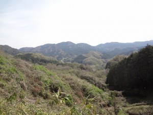 岩橋山 009 (640x480)