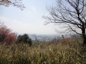 岩橋山 058 (640x480)