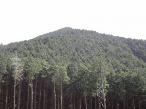 岩橋山 059 (640x480)