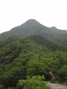 明神山 066 (480x640)