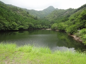 明神山 216・岩屋ノ池と明神山 (640x480)