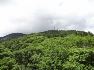 金剛山 043・展望台から湧出岳 (640x480)
