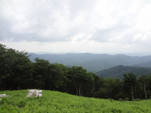 長老ヶ岳 081・山頂から北西 (640x480)