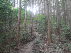 額井岳 101・コルから見た西 (640x480)