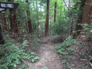 額井岳 102・コルから見た南進路 (640x480)