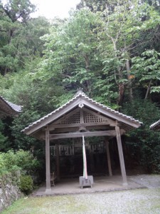 額井岳 111・戒長寺のホオノキ (480x640)