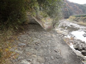 大岩ヶ岳 019・登山道への入口 (640x480)