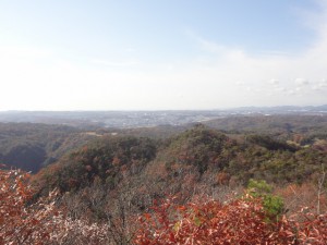 大岩ヶ岳 115・西 (640x480)