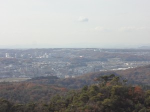 大岩ヶ岳 119・三田 (640x480)
