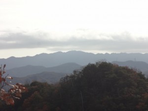 大岩ヶ岳 158・六甲 (640x480)