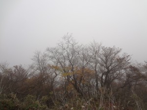 釈迦ヶ岳 066 (640x480)
