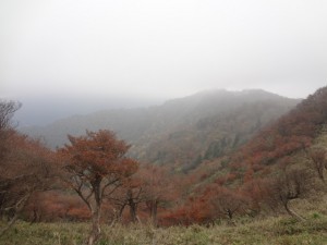 釈迦ヶ岳 094 (640x480)