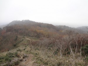 釈迦ヶ岳 105 (640x480)