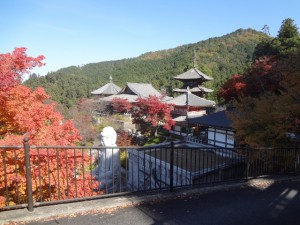 高取山 006・壺阪寺 (640x480)