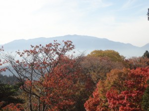 高取山 179・金剛山 (640x480)