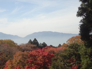 高取山 180・葛城山 (640x480)
