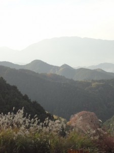 高取山 244 (480x640)