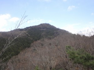 二上山 012・雌岳 (640x480)