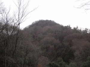 交野山 051・交野山 (640x480)