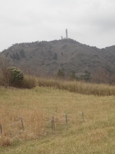 東お多福山・六甲山 041・西お多福山の南の電波塔 (480x640)