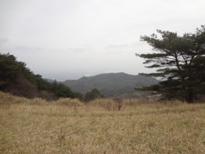 東お多福山・六甲山 049 (640x480)