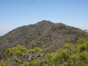 竜王山 082・鶏冠山 (640x480)