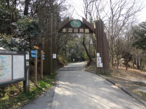 飯盛山 001・室池園地入口 (640x480)
