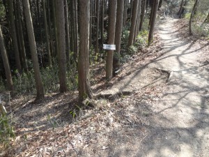 飯盛山 077・桜池への道 (640x480)