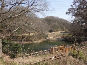 飯盛山 082・桜池 (640x480)