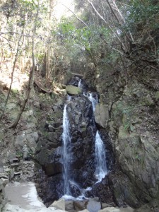飯盛山 099・権現の滝 (480x640)