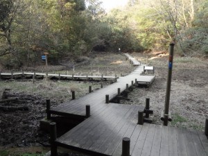 飯盛山 152・湿生花園 (640x480)