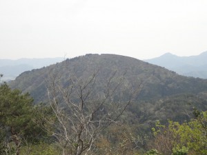 三尾山 109・夏栗山 (640x480)