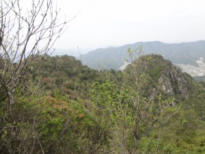 三尾山 152・東峰の岸壁 (640x480)