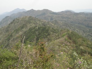 三尾山 158・下山の岩尾根 (640x480)