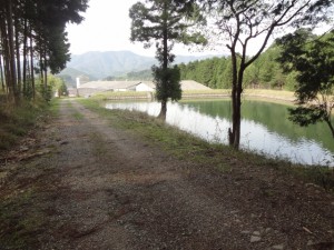 三尾山 222・下山口の池 (640x480)