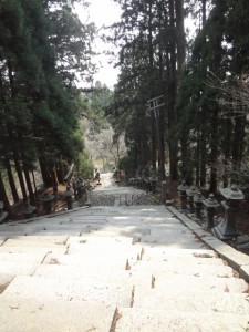 愛宕山 073・愛宕神社への石段、下り (480x640)