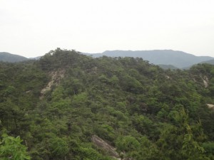 白山・妙見山 048・南東の岩山 (640x480)