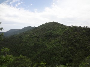 白山・妙見山 055・397pと白山 (640x480)